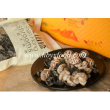 High Quality Dried Tea Flower Mushroom Healthy Vegetable